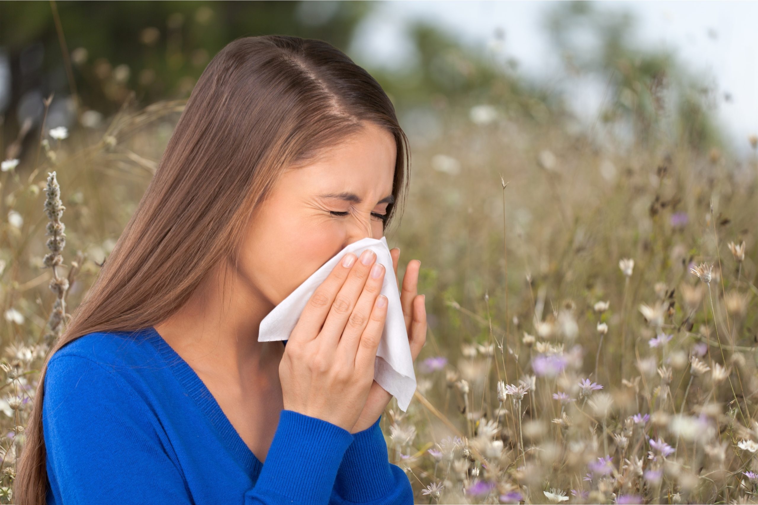 Seasonal Allergy Problems: Limit Exposure During High Pollen