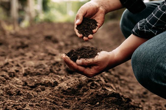 Dry Garden Soil - Keep Moisture Around Plant Roots